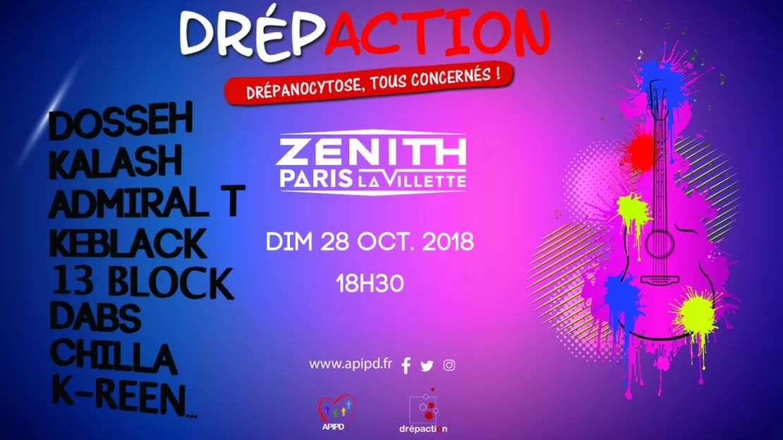 Drepaction : concert de Solidarité au Zenith de Paris la Villette