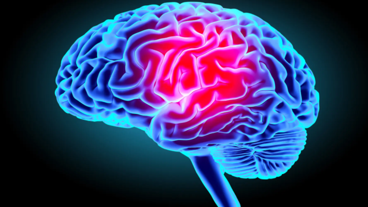 Bruit, rap et cerveau : comment nos oreilles influencent notre esprit | Generations