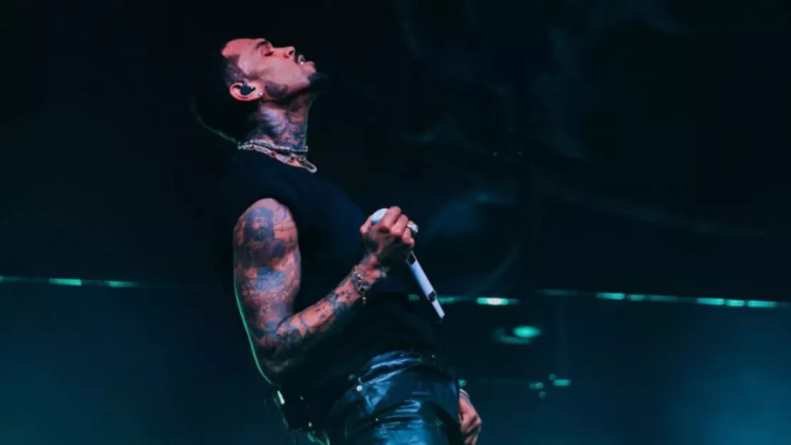 Un documentaire sur les violences de Chris Brown va sortir ! "C'est la seule façon de l'arrêter"