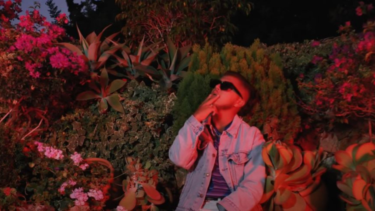 Hamza, Dinos, Fresh LaDouille, Alpha Wann : le rap français couvert de certifs Hamza, Dinos, Fresh LaDouille, Alpha Wann : le rap français couvert de certifs