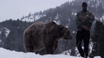 Booba : l'histoire du grizzly dans le clip de "Comme les autres" r&eacute;v&eacute;l&eacute;e par Chris Macari