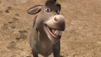 Donkey : Le Spin-Off de Shrek a annonc&eacute; sa date de sortie