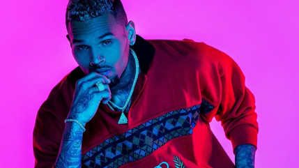 Mordue par le chien de Chris Brown, son employ&eacute;e accepte un accord &agrave; 10 millions de dollars