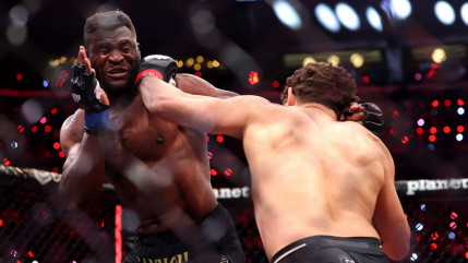 Netflix d&eacute;voile les chiffres impressionnants du MVP MMA : un vrai succ&egrave;s