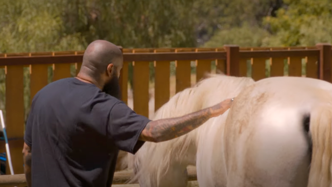 Stalley  joue au fermier dans "Farming "