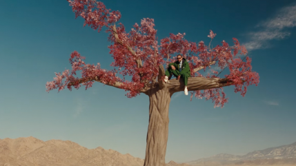 Bad Bunny se demande "Where She Goes"