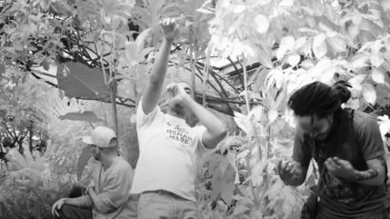 Earl Sweatshirt et The Alchemist invitent Vince Staples sur "The Caliphate" Earl Sweatshirt et The Alchemist invitent Vince Staples sur "The Caliphate"