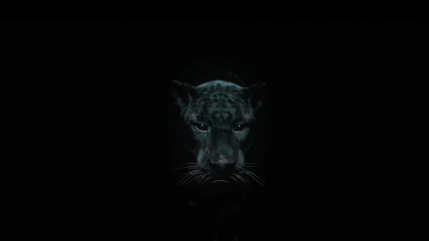 El Michels Affair & Black Thought jouent un "Glorious Game" El Michels Affair & Black Thought jouent un "Glorious Game"