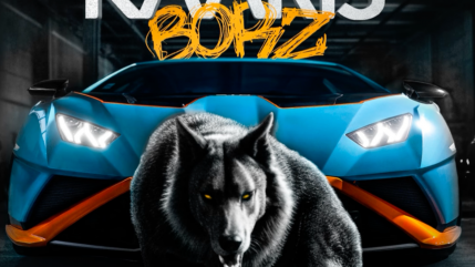 Kaaris envoie un nouveau freestyle "Borz"