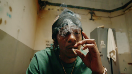 Mayo est "Infréquentable"