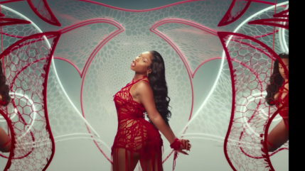 Megan Thee Stallion nous fait un "HISS"