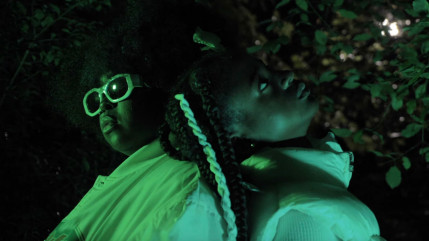 Turtle White veut "CLEAN UP"