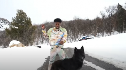 YoungBoy accompagné d'un loup dans "Wolf Cry" YoungBoy accompagné d'un loup dans "Wolf Cry"